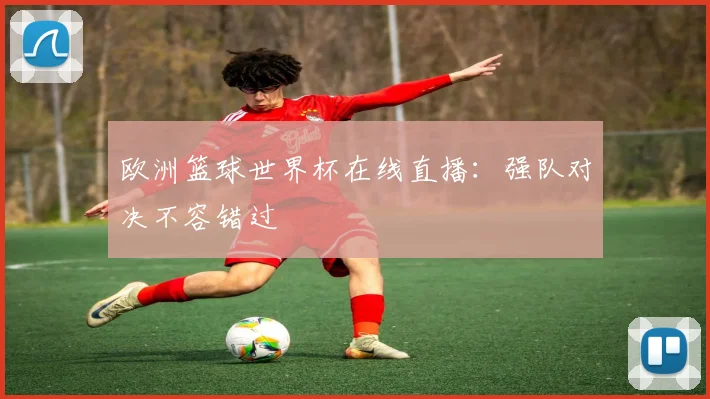 欧洲篮球世界杯在线直播：强队对决不容错过