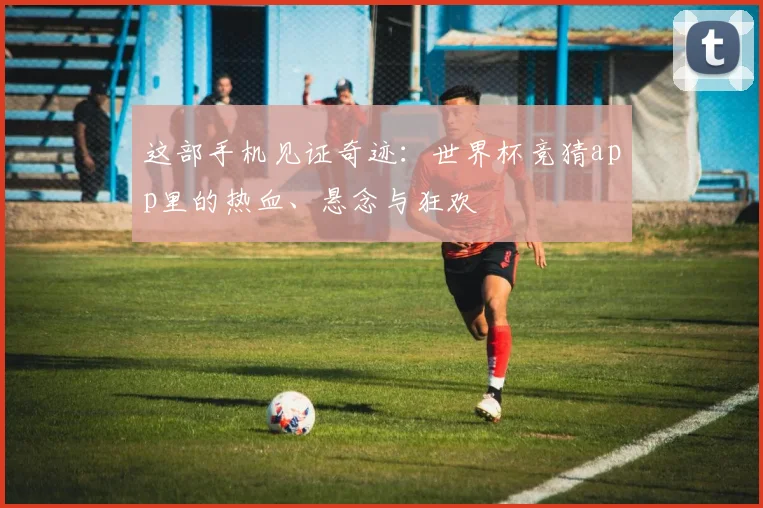 这部手机见证奇迹：世界杯竞猜app里的热血、悬念与狂欢